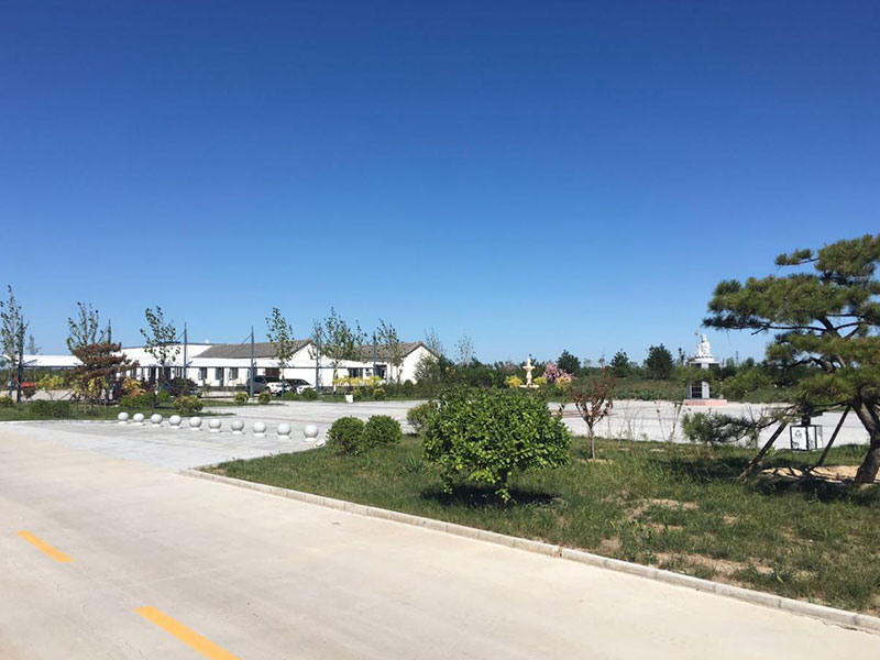 清颐园公墓广场