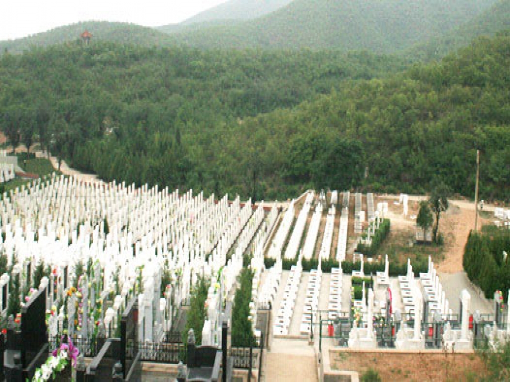 炎黄陵园地势