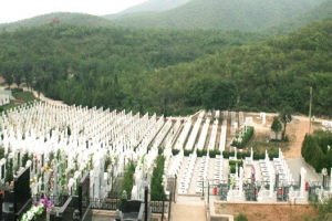 炎黄陵园地势