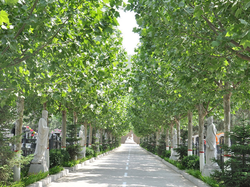 墓区道路