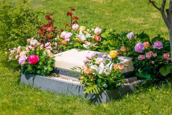 九公山长城纪念林交通指南与环境实景介绍