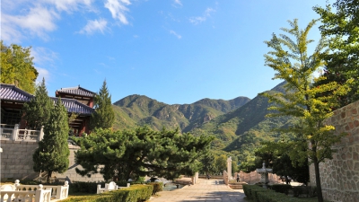 园内风景