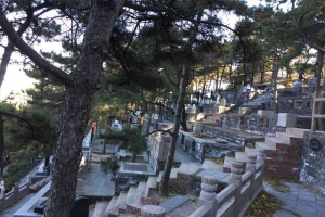 金山陵园山坡