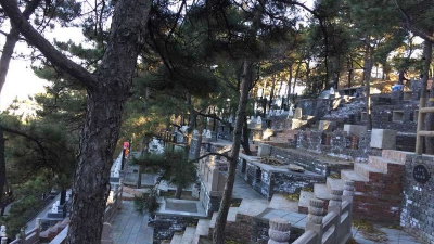 金山陵园山坡