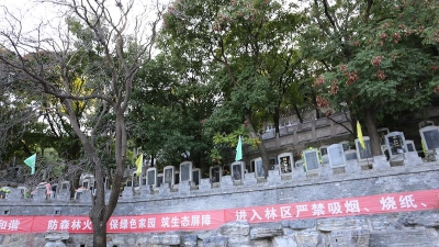 金山陵园