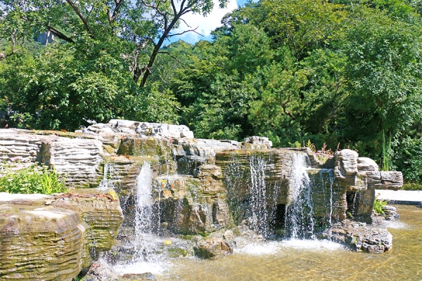 九公山长城纪念林环境特色与预约指南