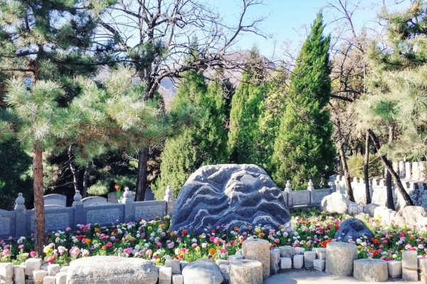 温泉墓园合法资质及价格解析