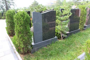 天寿看墓随拍
