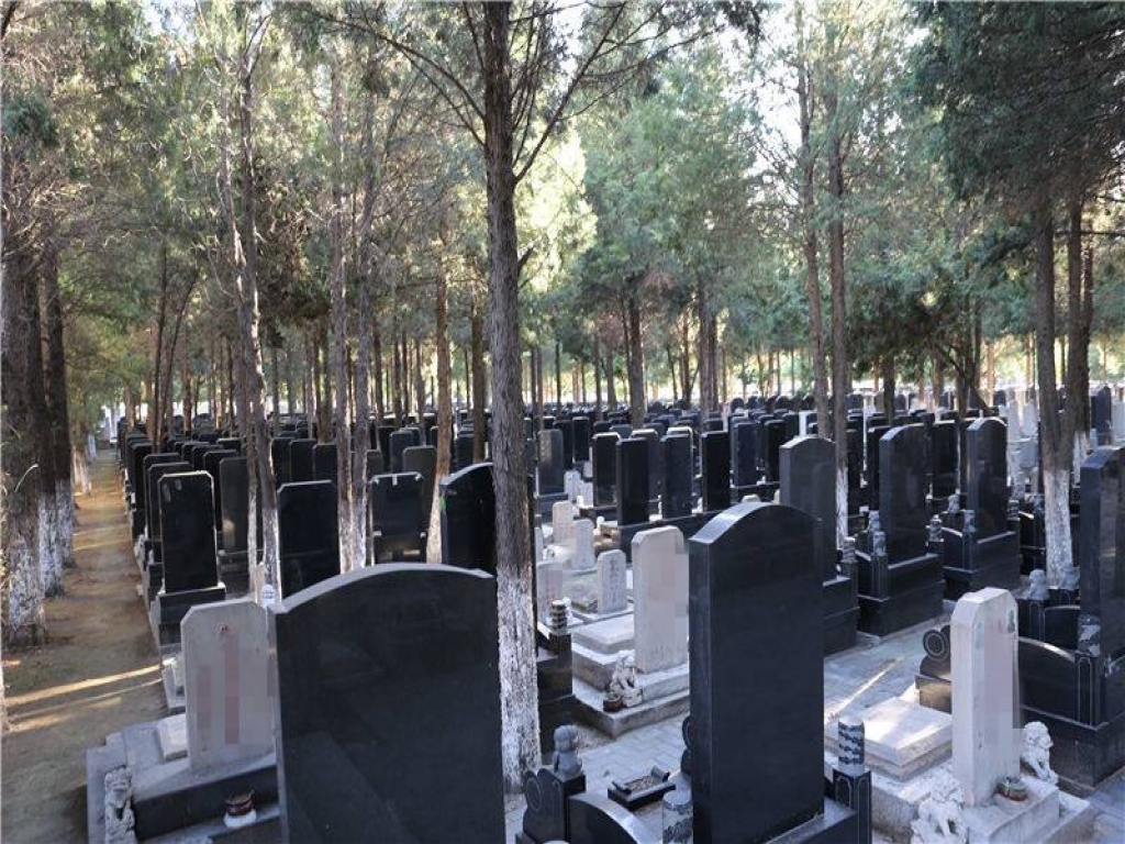 通惠墓地随拍