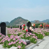 清东陵万佛园陵园环境优美服务周到