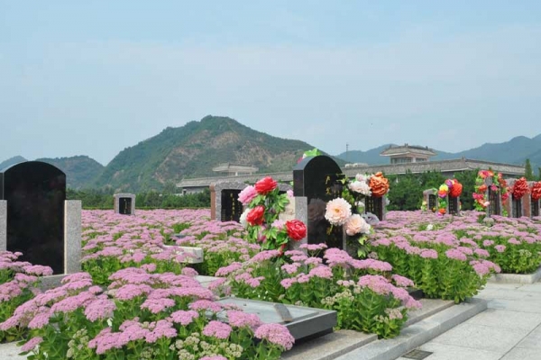 清东陵万佛园交通指南:班车路线与便捷出行攻略