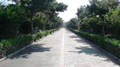 朝阳陵园道路