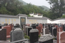 墓区实拍