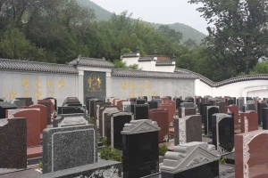 墓区实拍
