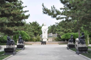 滴水观音