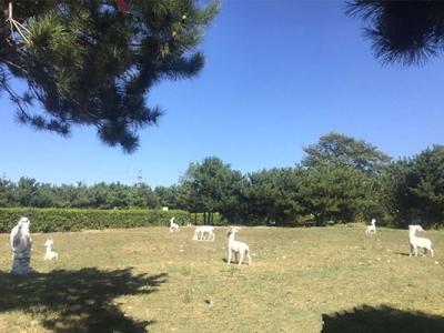 八达岭人民公墓实景风貌与园区环境全览