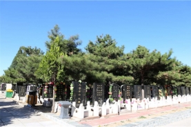 八宝山墓区景观