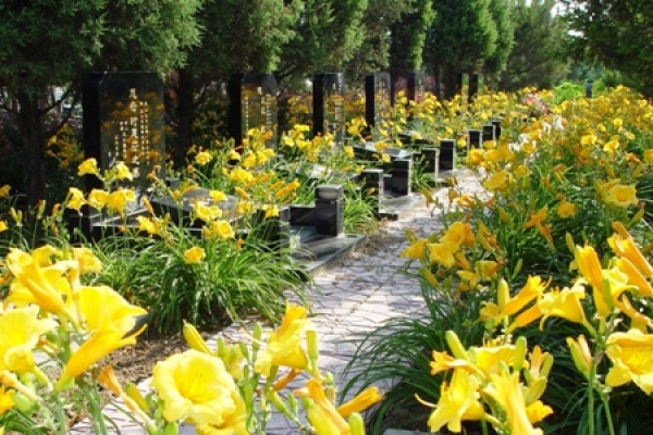 思亲园陵园交通指南与实景展示