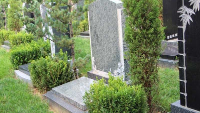 墓区环境