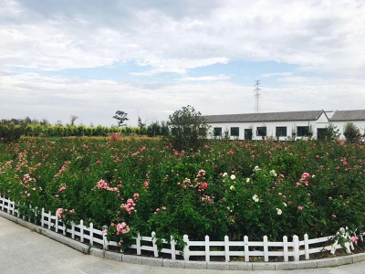 清颐园公墓特惠墓型限时优惠详情咨询