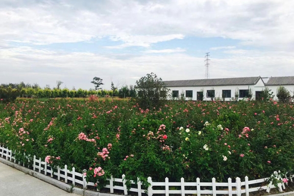 清颐园公墓选墓指南与惠民详情