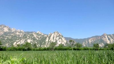 靠山石山