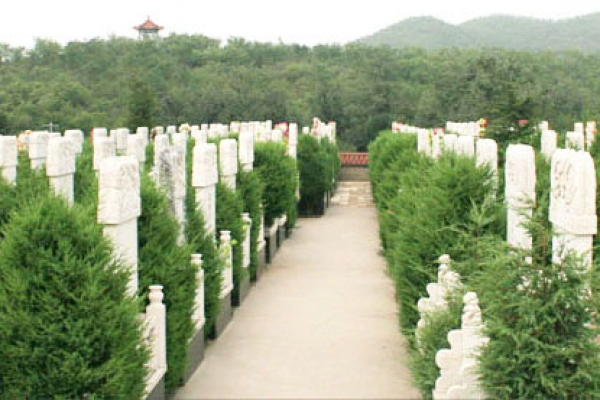 炎黄陵园:优越地段与人文景观的完美融合