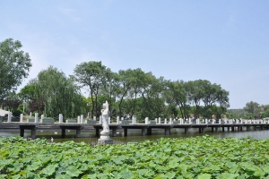 静安墓园景观