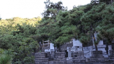 金山陵园山坡