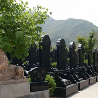 平台区墓型