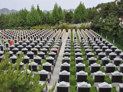 灵山宝塔陵园交通指南：自驾公交路线及班车预约