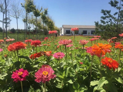 清颐园公墓特色服务与费用解析