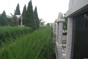 天堂公墓随拍