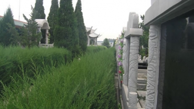 天堂公墓随拍