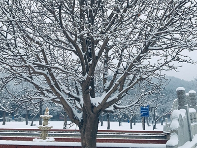 怀柔凤凰山陵园自驾交通指南及路线攻略