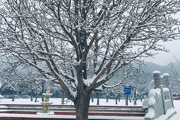 怀柔凤凰山陵园自驾交通指南及路线攻略