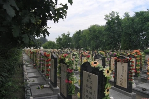 天堂公墓随拍