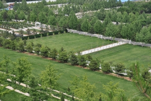 陵园草坪地