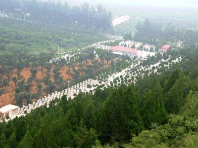 归山陵园公墓资质与购墓优惠指南