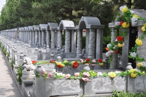 墓地规模