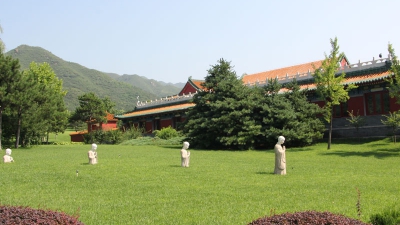 天寿园草坪