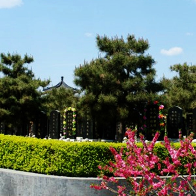 基本墓型