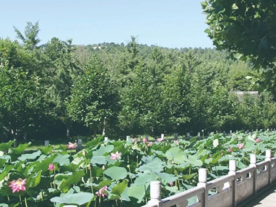 灵山宝塔陵园环境优美交通便利专车服务