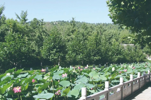 灵山宝塔陵园环境优美交通便利专车服务